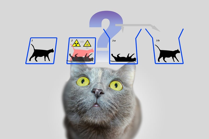Quantum Entanglement Device
